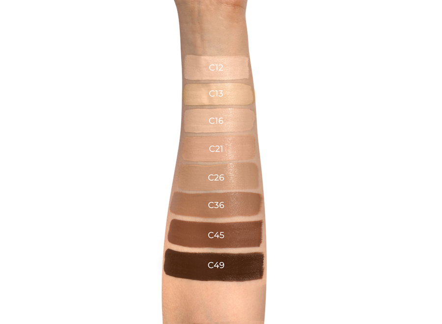 Vani-T Instant Blur HD Concealer.
